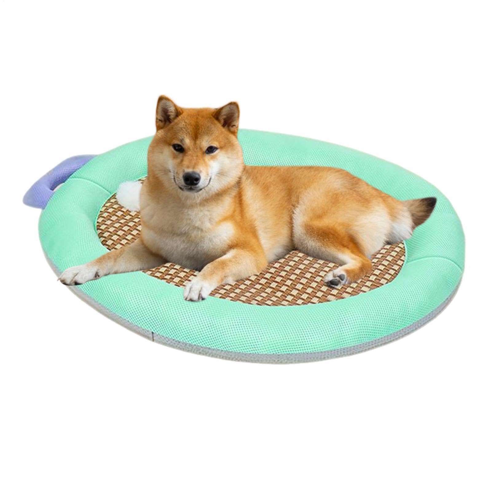 Couverture glacée d'intérieur pour chien idéale au salon ou sur le balcon