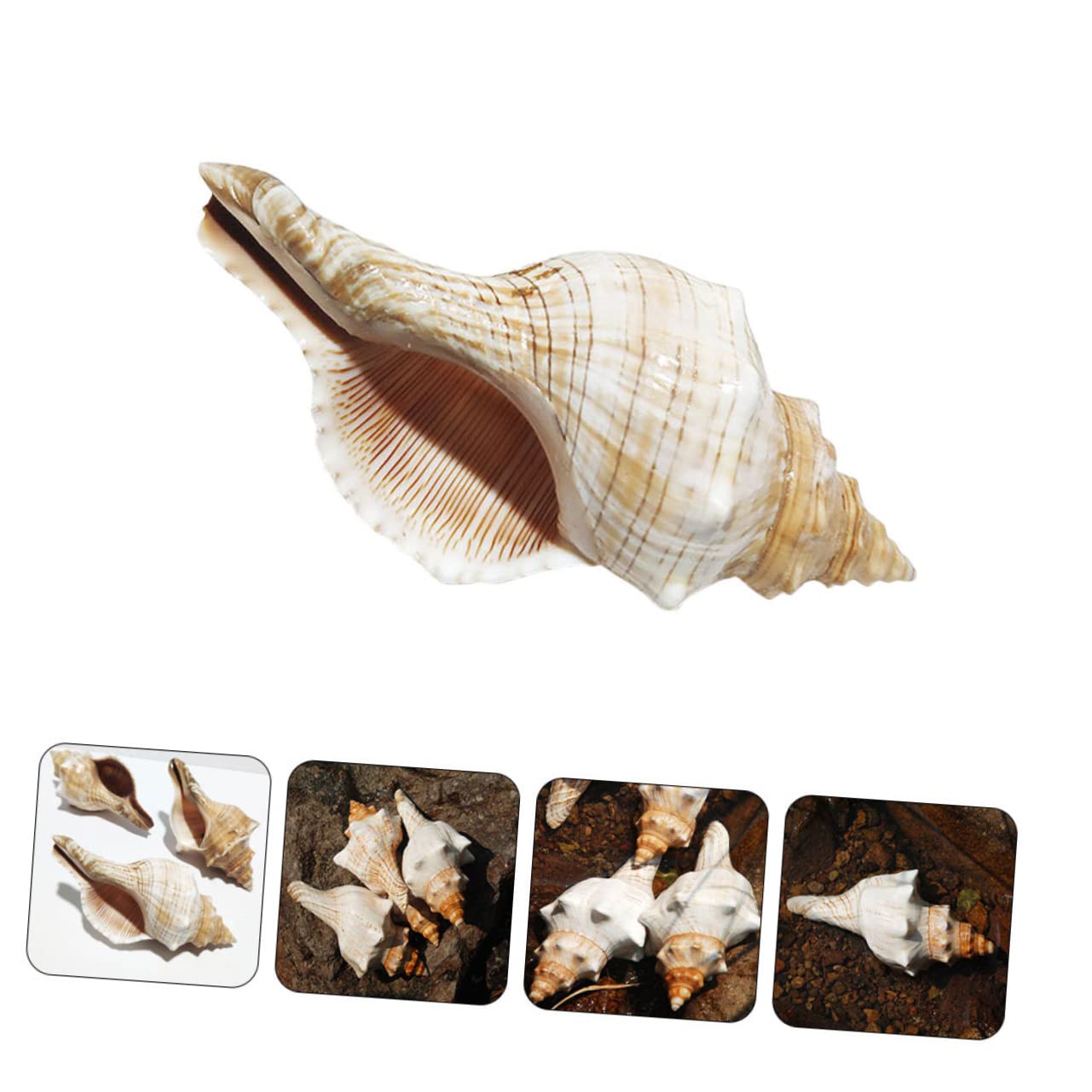 Happyyami Conch for Fish Tank Natural Aquarium Decor DIY Conch Adornments for Creative Craft Projects