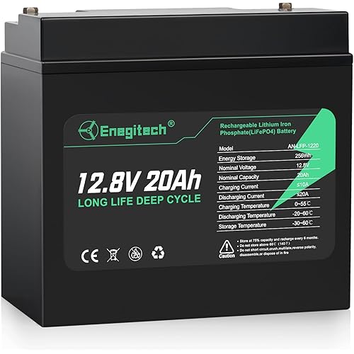 12V 20Ah LiFePO4 Lithium Battery, 2000+ Deep Cycles Rechargeable Battery, Perfect for Solar Power, Outdoor camping, Fish Finders, Lighting, Ham Radio, Small UPS and More, Built-in 20A BMS