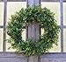 The Wreath Depot Arbor Artificial Boxwood Wreath 22 Inch, Year Round Full Green Wreath, Approved for Outdoor Display, Beautiful Gift Box Included