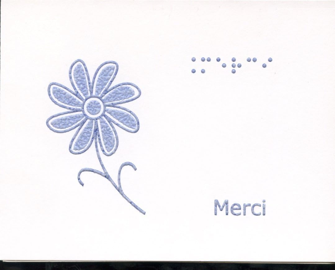 Amazon Com Tactile Vision Graphics Inc Carte Jolie Braille Et Tactile Bo238 Te De Petites Cartes Sans Texte11 P226 Querette Office Products
