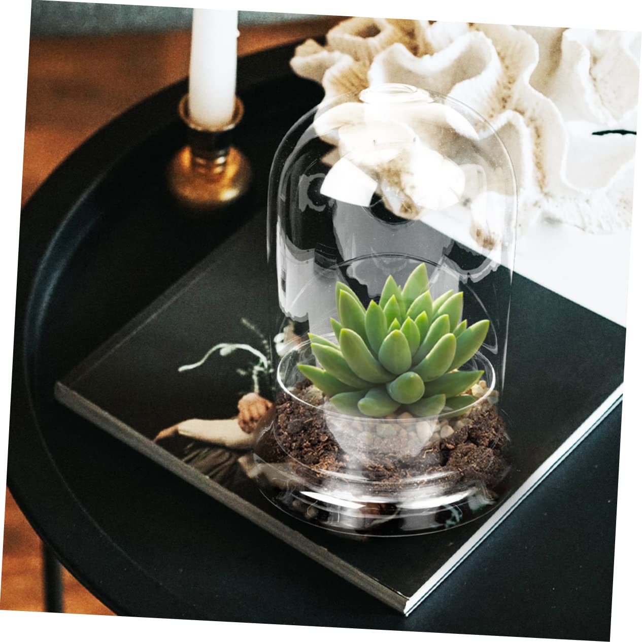 BESTonZON Vaso Terrario Bottiglia in Vetro Ecologica Per Micro Paesaggi Coltivazione Di Piante Di Muschio Contenitore Decorativo Per Paesaggi Fai Da Te