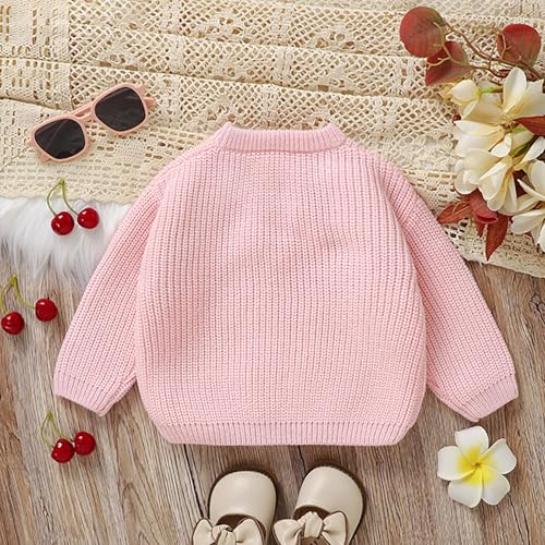 Toddler Cute Print Crochet Tops Ribbed Knitted Long Sleeve Sweaters Kids Crewneck Warm Fall Winter Pullover3