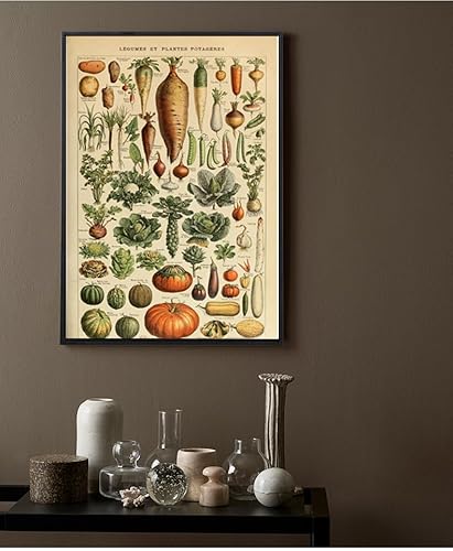 Vintage Vegetables Poster Prints - Botanical Canvas Wall Art - Plant Identification Reference Chart - Nature Picture Modern Home Decor for Classroom Kitchen Unframed(16×24in/40×60cm)… - Image 5