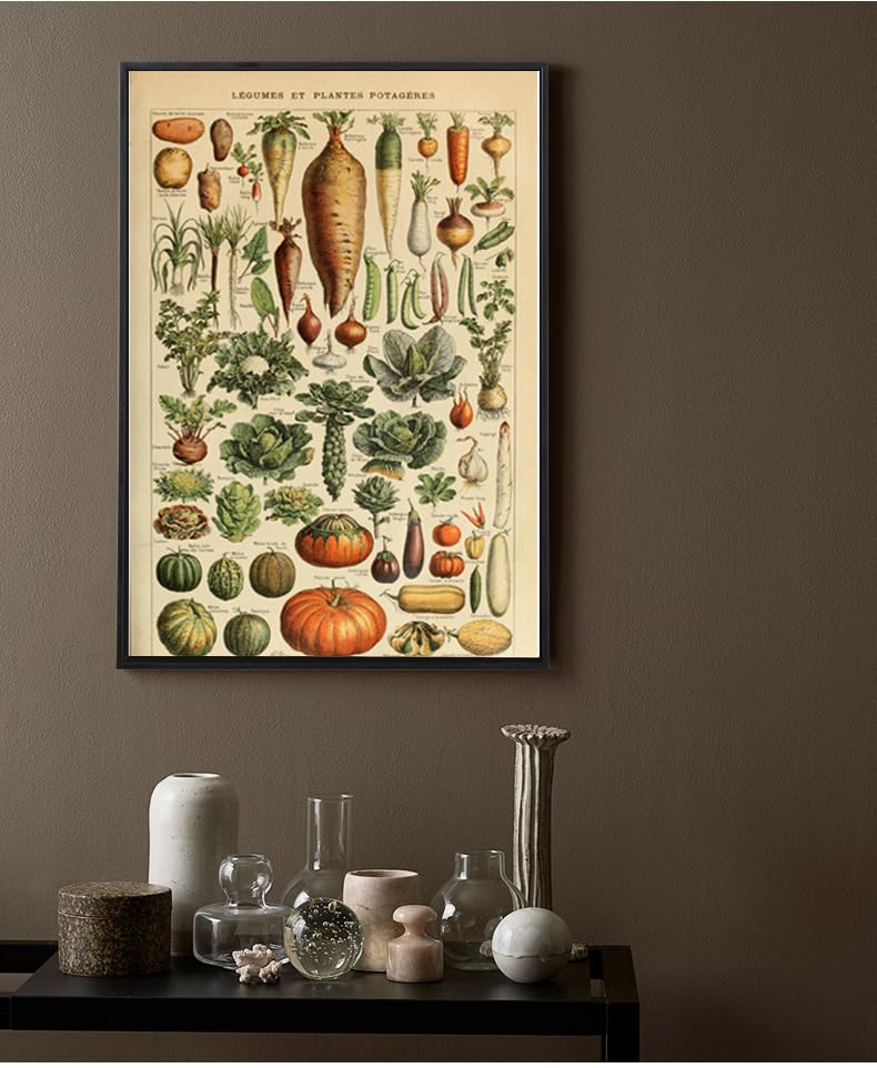 Amazon.com: Vintage Vegetables Poster Prints - Botanical Canvas