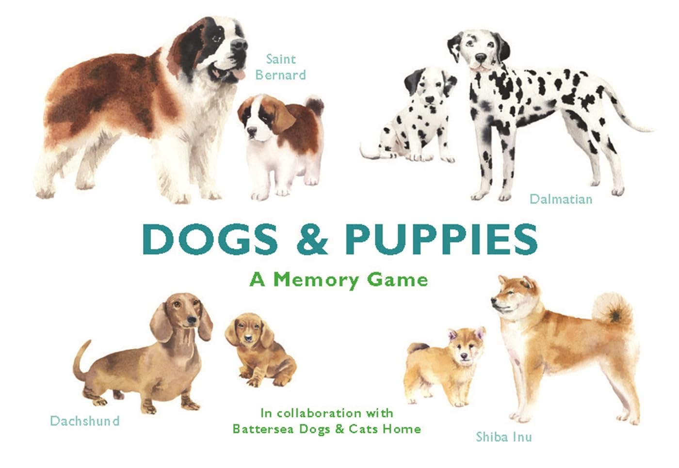 Dogs & Puppies A Memory Game by Emma Aguado (Cards)