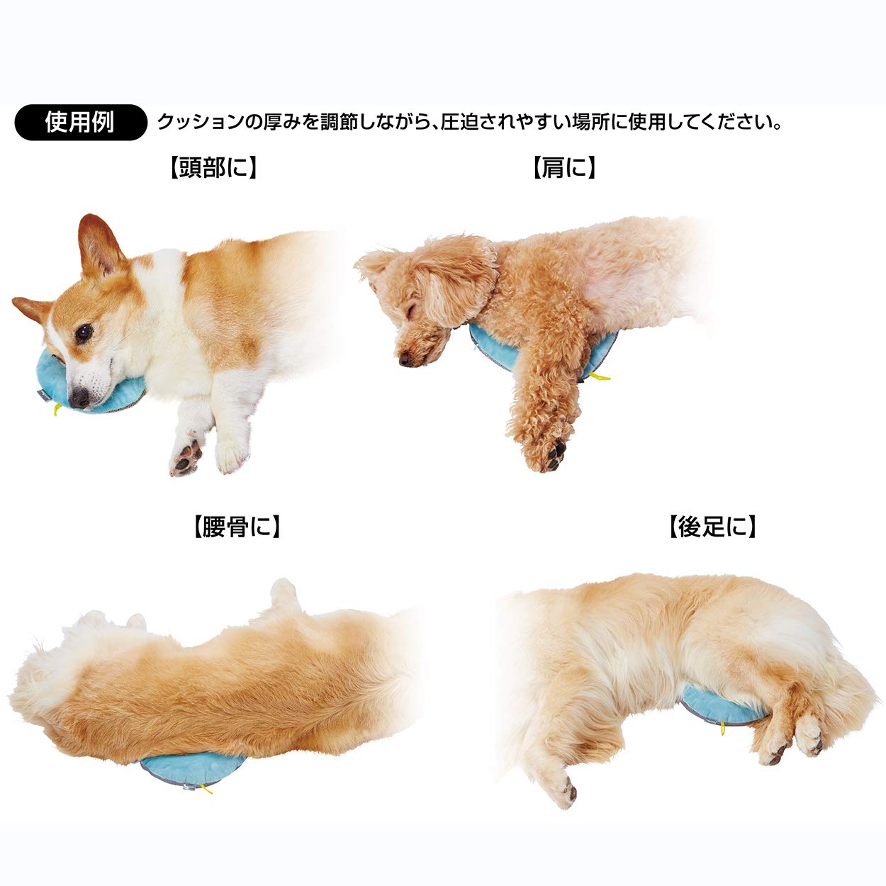 Amazon | ペティオ (Petio) Zuttone 厚みが調節できるやさしいビーズ