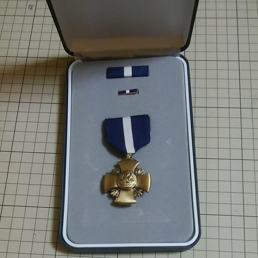 Amazon.co.jp: 米海軍十字章 DX ボックス : おもちゃ