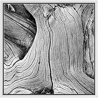 SIGNWIN Framed Canvas Wall Art Old Aged Knotted Wood Grain Tree Bark Nature Texture Photography Minimalism Modern Closeup Dramatic Black and White for Living Room, Bedroom, Office - 16