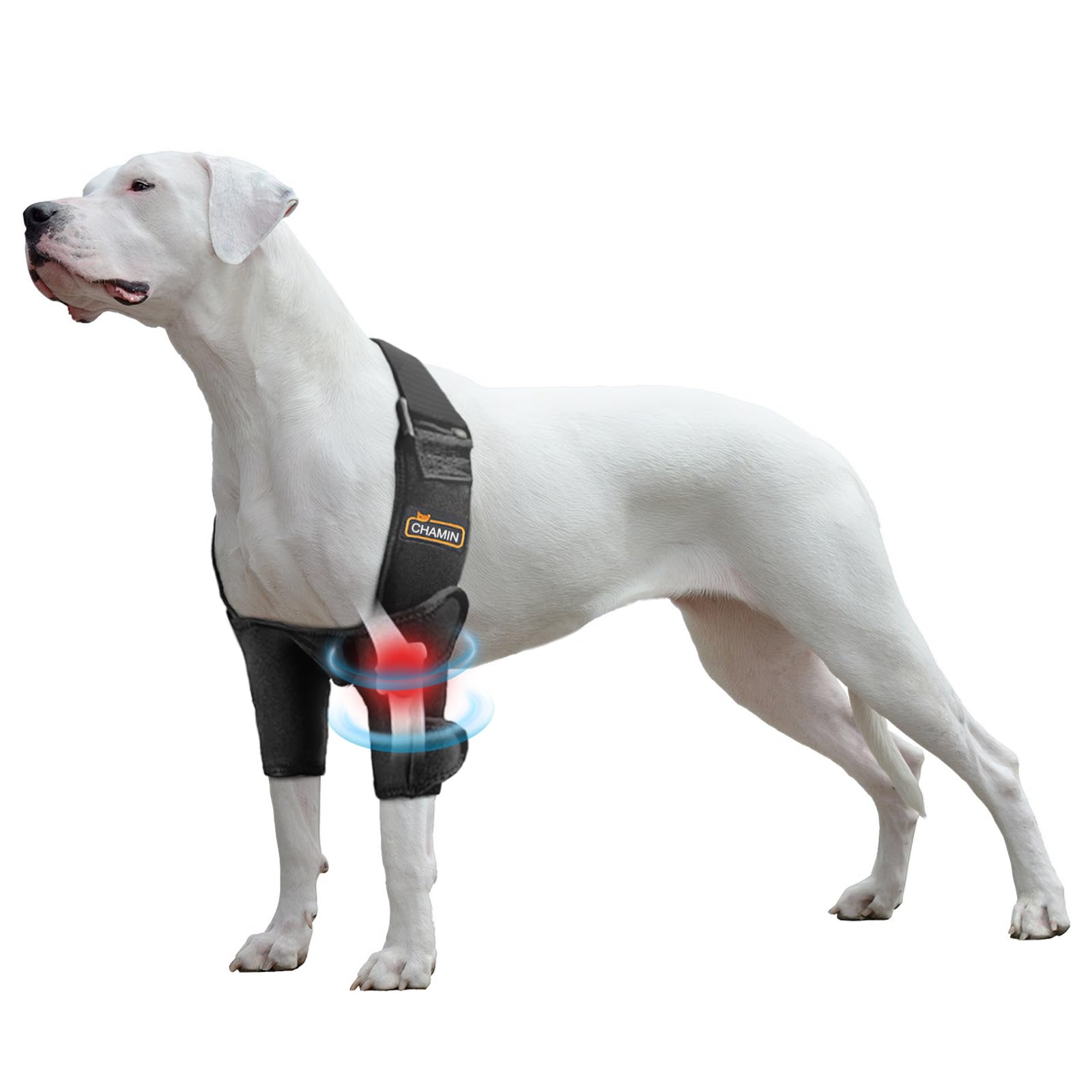 CHAMIN Dog Elbow Brace for Shoulder and Front Leg Dog Elbow Protector Pads for Hygroma Arthritis Dysplasia Pressure