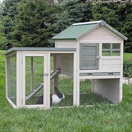 hayneedle rabbit hutch