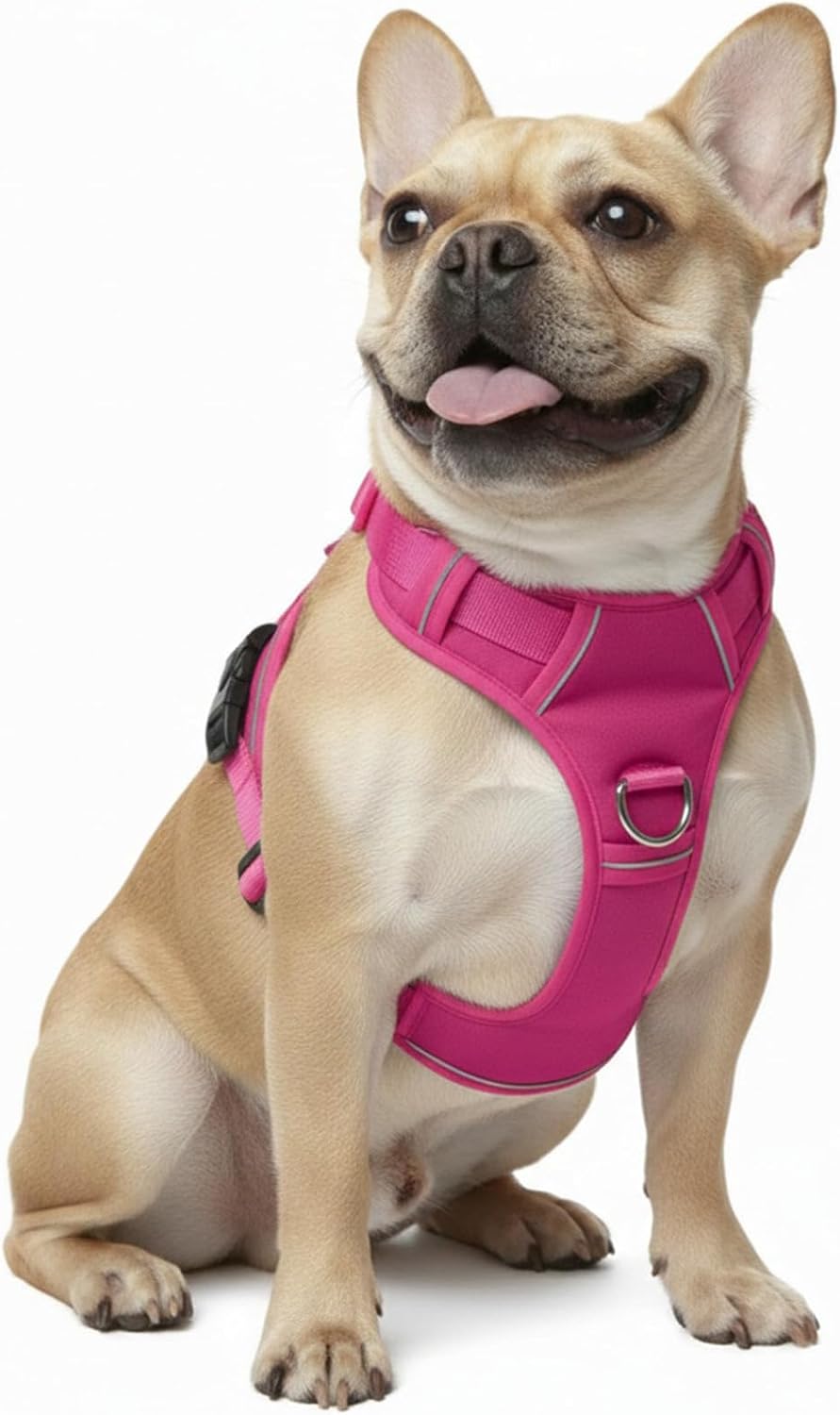 No Pull Dog Harness with 2 Leash Clips, Adjustable Soft Padded Reflective Oxford Pet Vest with Easy Control Handle for Large Dogs (Fuchsia, Small)