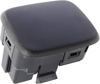 Amazon.com: GM Genuine Parts 13549088 Ambient Light and Security