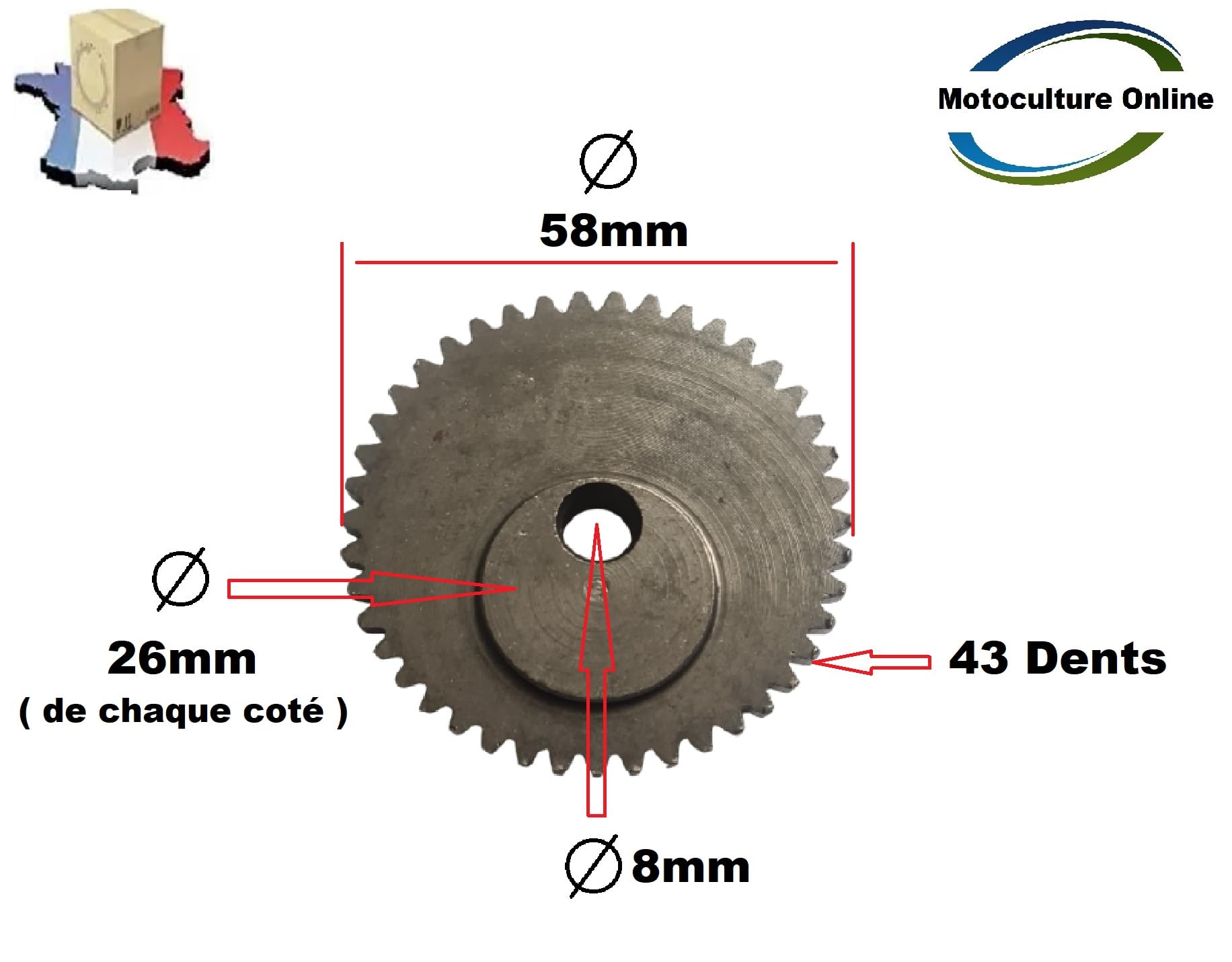 Pièce détachée Origine Constructeur: Pignon Couronne d'entrainement 43 Dents pour Lames de Taille haie orientable Machine Multifonction Merci de vérifier Vos Dimensions Avant de Commander Voir Photos