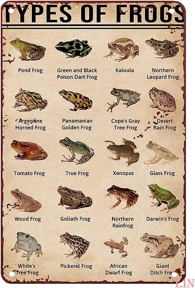 Vintage Metal Wall Art - Types of Frogs, Green & Black Poison Dart Frog, Tin Signs, Funny Signs, Unique Home Decor, Cute Wall Decor, 8x12 in