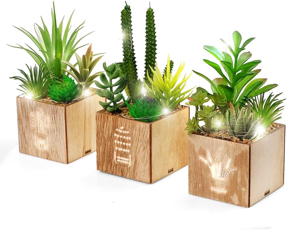 Set of 3 Artificial Succulents with Led Lights in Wooden Box, Artificial Plants Plastic Fake Topiary for Home/Office Decorations, Table Centerpiece, Valentine's Day