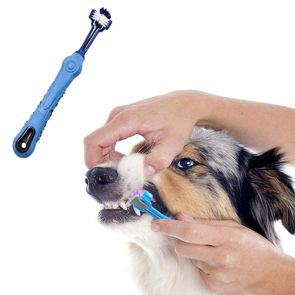 Orgrimmar 2 PCS 3-Sided Pet Toothbrush Dog Toothbrush Removing Bad Breath Tartar Cleaning Mouth Pet Dental Care Cat Cleaning Mouth 2