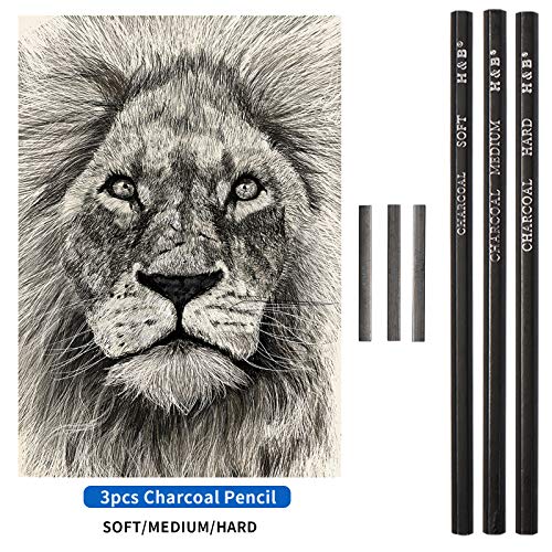 YBLANDEG-Sketching-and-Drawing-Colored-Pencils-Set-96-PiecesArt-Supplies-Painting-Graphite-Professional-Art-Pencils-KitGifts-for-Teens-Adults-Drawing-Charcoal-Tool-Set