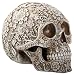 SUMMIT COLLECTION Day The Dead 8 Inch White Light Brown Colored Floral Human Skull Collectible