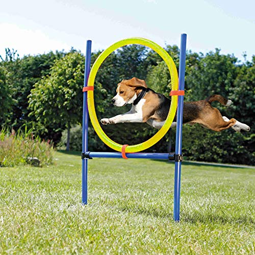 Open Agility Equipment For Dogs Jumps | Pet Prime