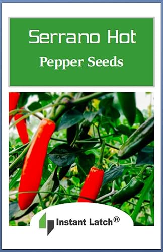 Miniatura 2 de 100 semillas de pimiento picante serrano para plantar semillas de jardín frescas sin OMG