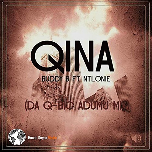 Qina (feat. Ntlonie) (Da Q-Bic Remix)