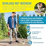 Gloria B07NPZNGNN lato 4