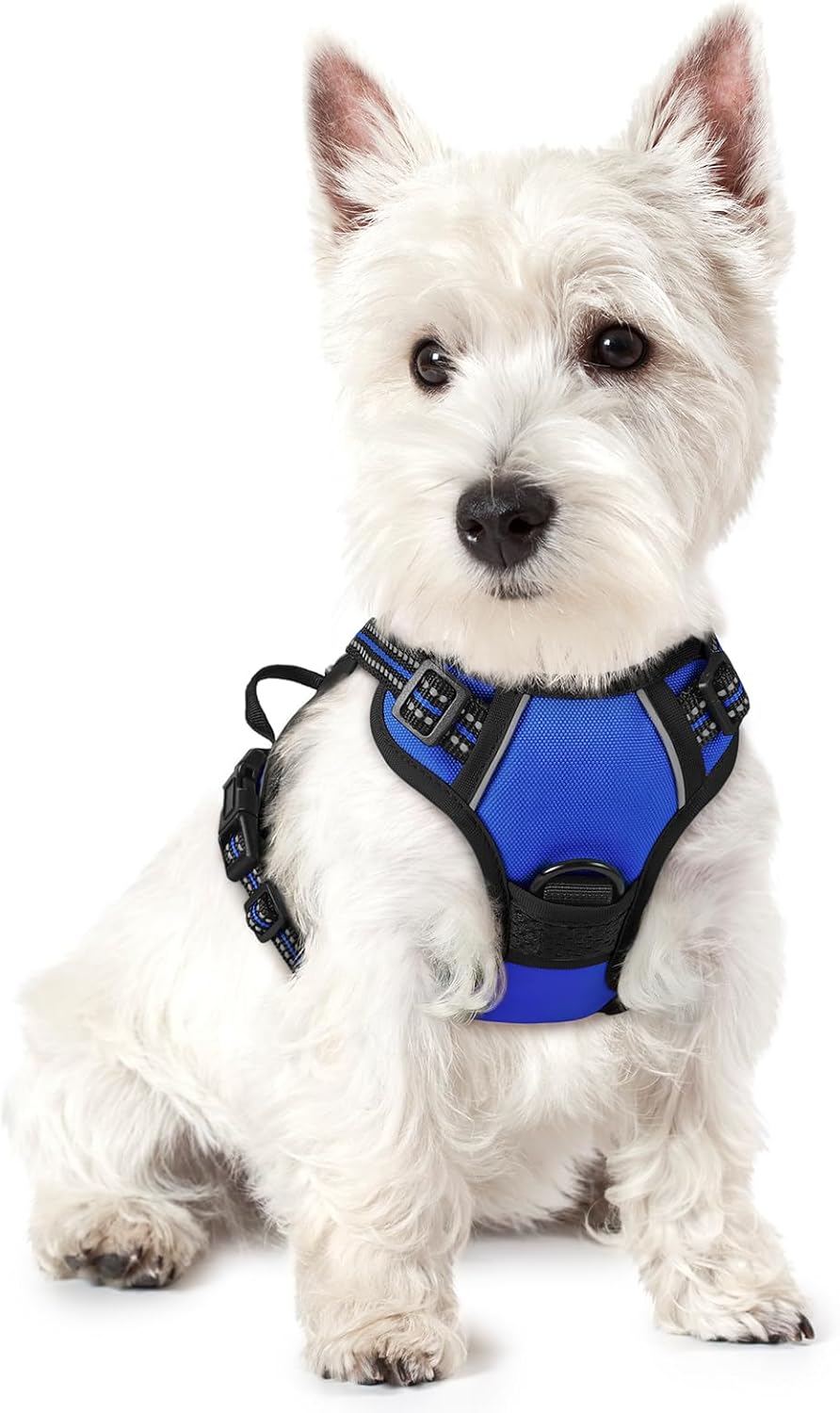 rabbitgoo Dog Harness No Pull with 2 Leash Clips, Adjustable Soft Padded, Reflective Oxford No Choke Pet Vest with Easy Control Handle for Puppy, Dazzling Blue,XS X-Small Dazzling Blue