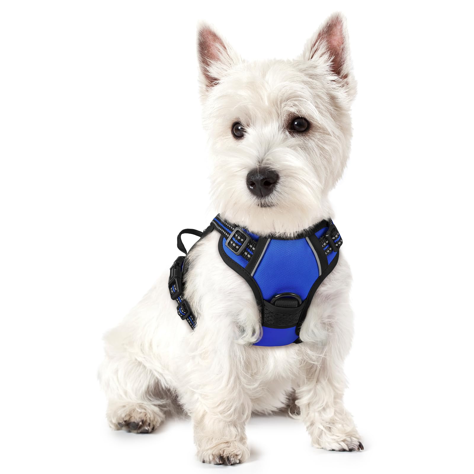 rabbitgoo Dog Harness No Pull with 2 Leash Clips in Dazzling Blue