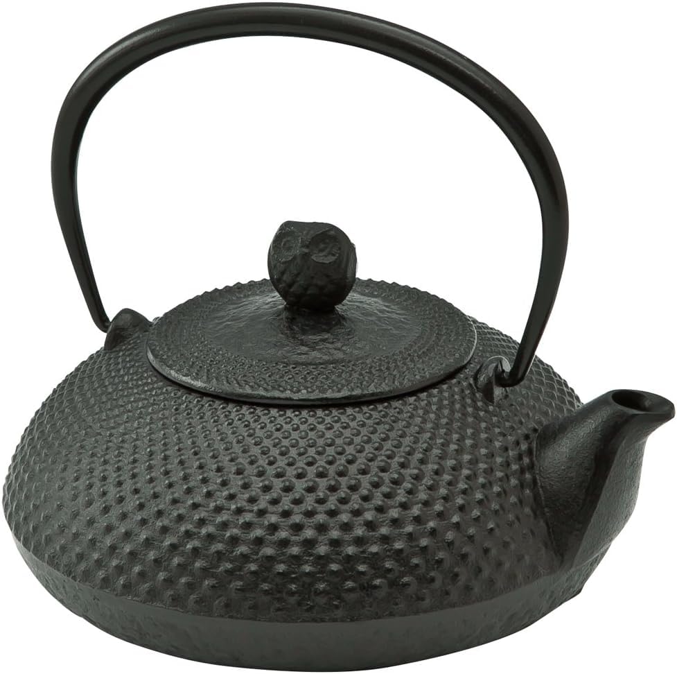 Amazon｜池永鉄工(IkenagaIronWorks)鉄瓶0.6L南部鉄器やかん鉄分補給宝
