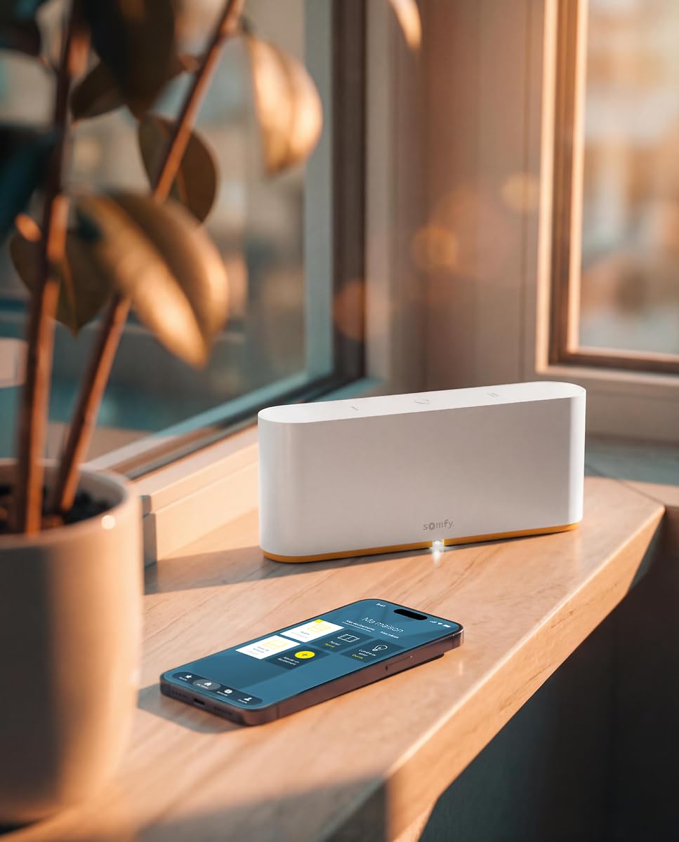 Somfy - Box domotique Tahoma Switch | Centralise et Pilote Vos Volets roulants et équipements connectés | Contrôle à Distance Via l'application ou Un Assistant Vocal | Compatible IO, RTS & Zigbee