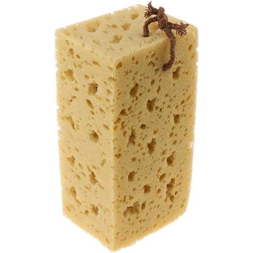 Macroporous Honeycomb Sponge