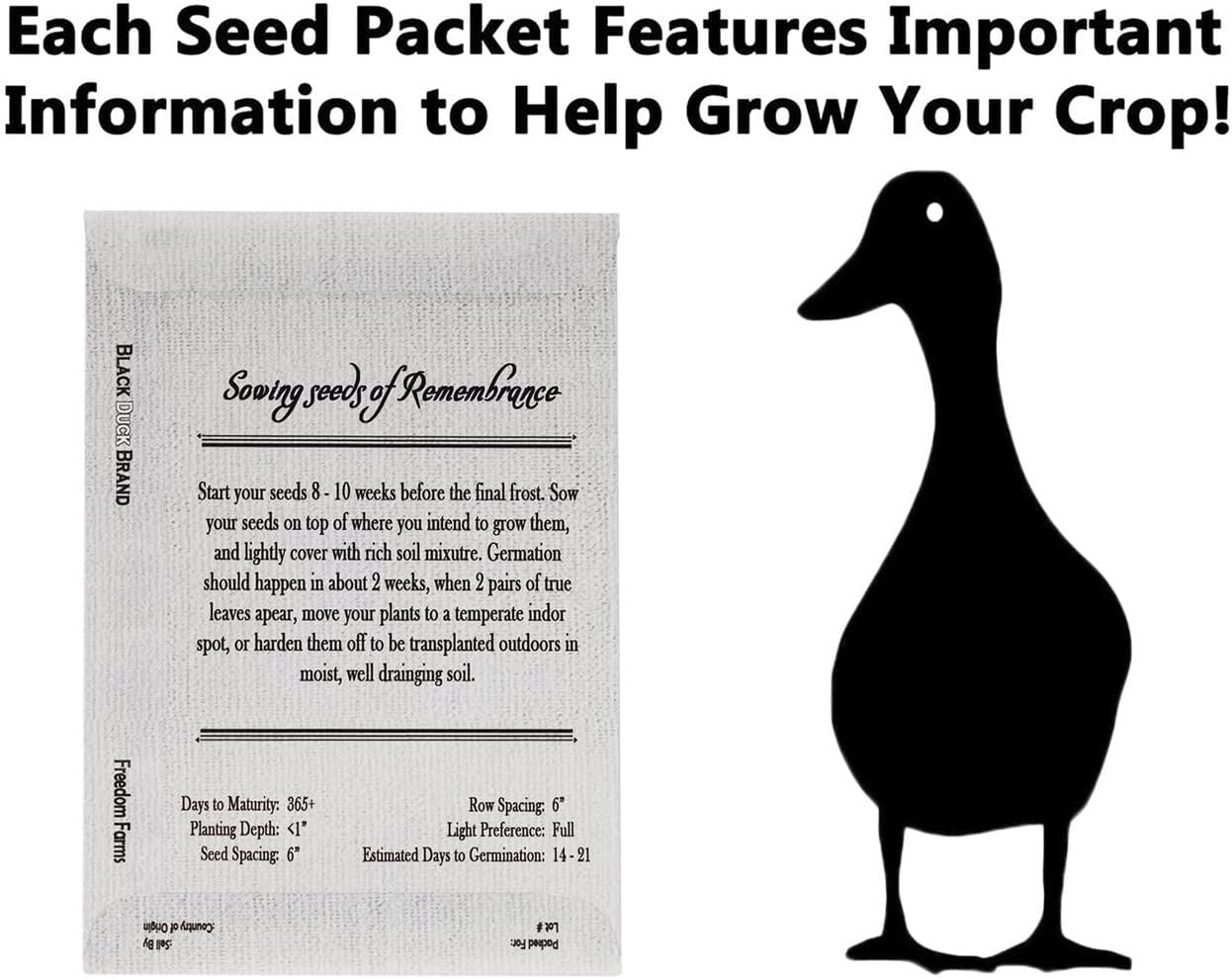 Set of 50 Forget-Me-Not Memorial Seed Packets – Individually Sealed – Non-GMO & Heirloom – Beautiful Tribute to Honor Loved Ones