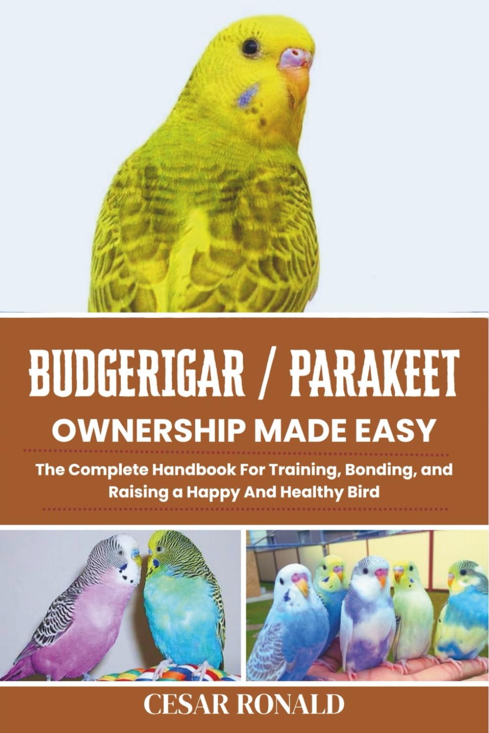 Budgerigar / Parakeet Ownership Made Easy: The Complete Handbook For Training, Bonding, and Raising a Happy And Healthy Bird (The Bird Encyclopedia Collection)