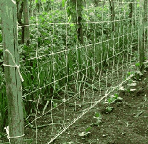 RETE PER RAMPICANTI cm.170 h. rotolo da mt. 1000 MAGLIA CM 15 X 17 FERR 180177