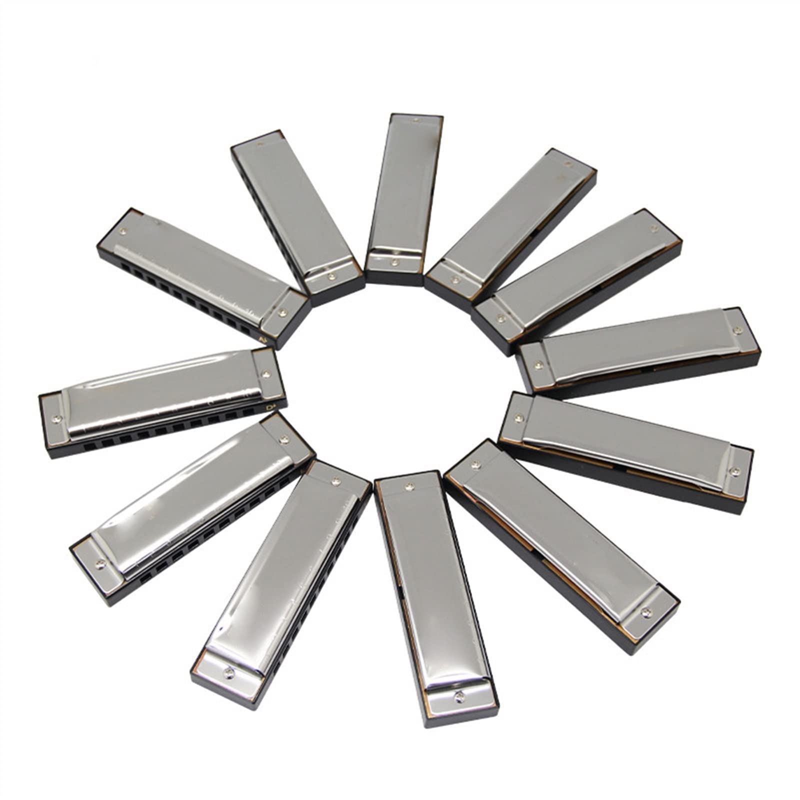 Set di 12 Tasti per Armonica Diatonica A 10 Fori per Adulti E Professionisti con Custodia Armonica per Principianti