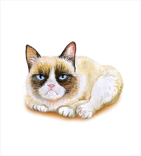 Miniatura 10 de Ambesonne Kiss - Juego de funda de edredón con diseño floral de París, torre Eiffel, globo de aire caliente, bicicleta, romántico, juego de cama de