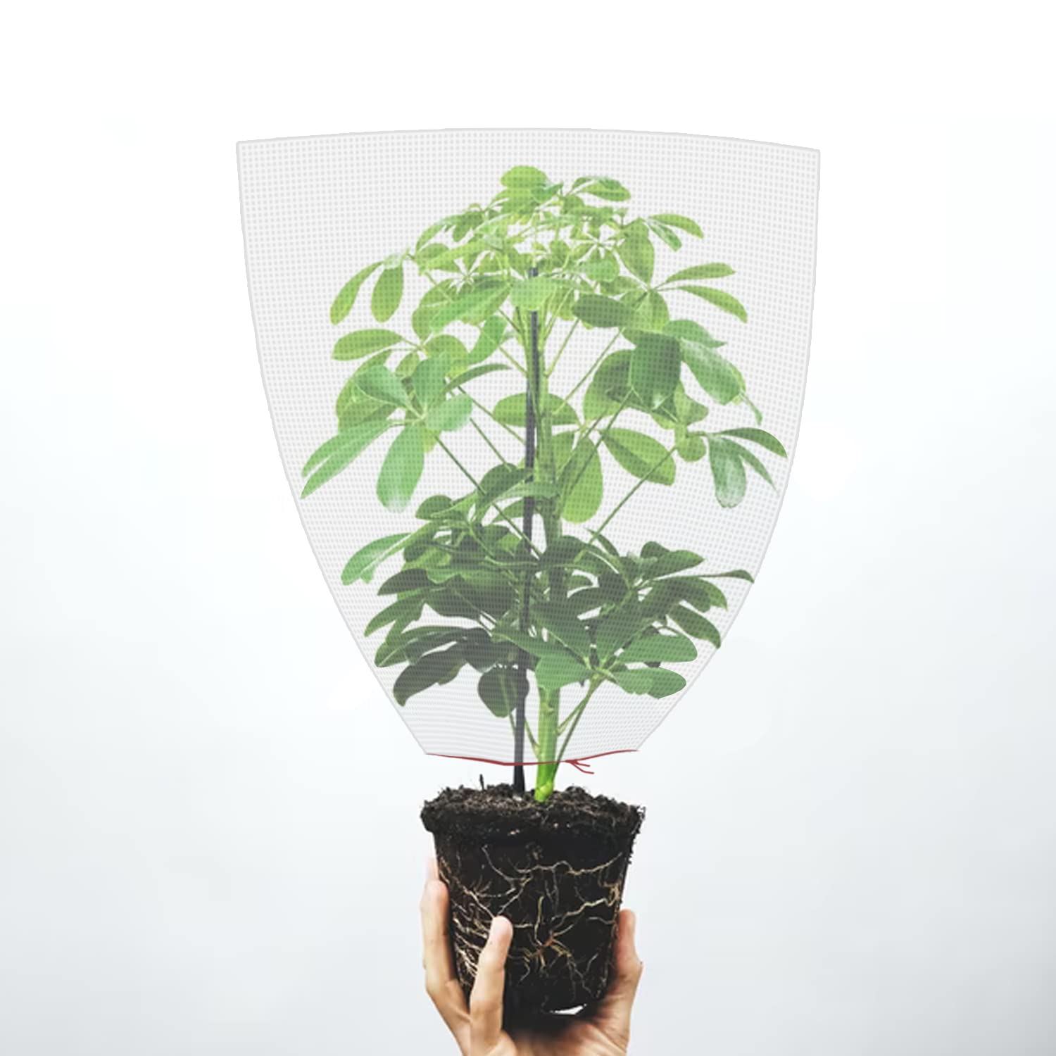 クリーム色プランターカバー Amazon.co.jp: 防虫ネット 植物保護カバー プランター 巾着式 2