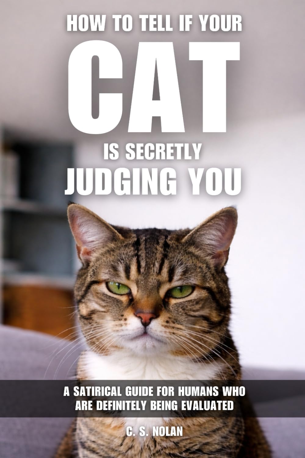 How to Tell If Your Cat Is Secretly Judging You: A Satirical Guide for Humans Who Are Definitely Being Evaluated