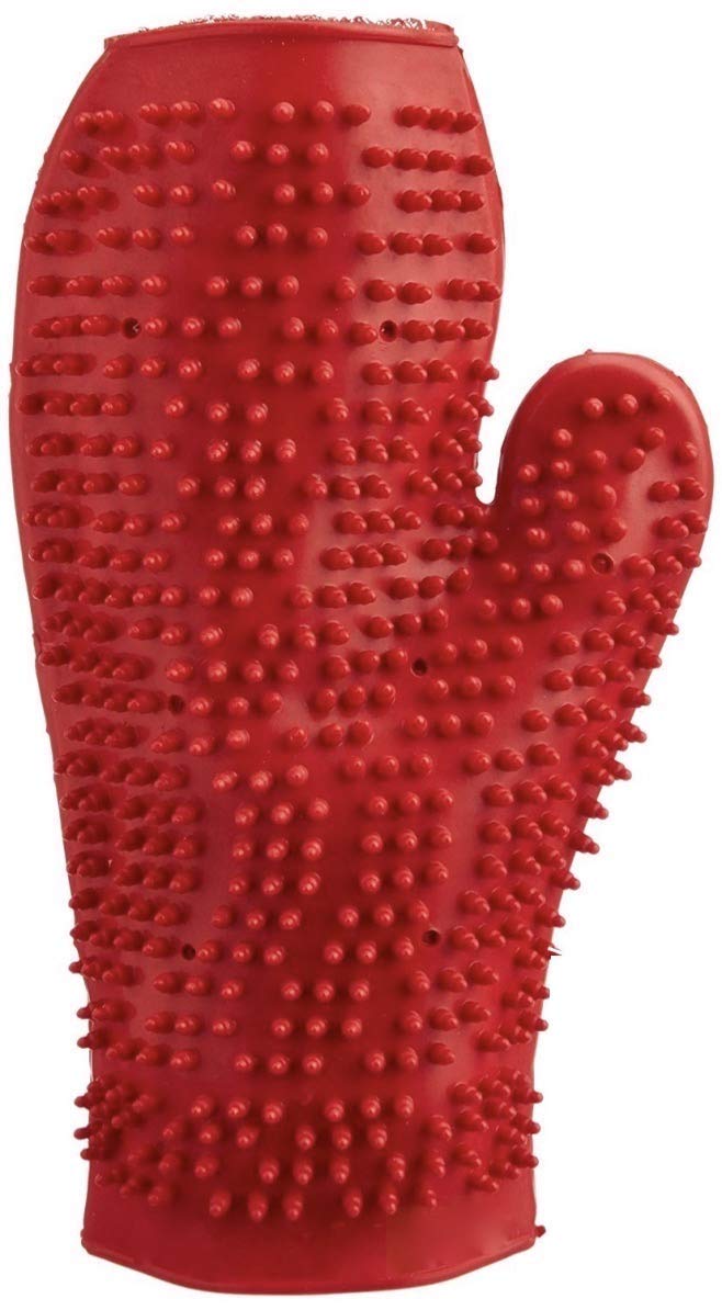 See full amazon price history chart for BLACK DOG Dog Bath Glove Grooming Brush Massage Comb (Color May Vary) BLACK DOG Dog Bath Glove Grooming Brush Massage Comb (Color May Vary) (B07ZZ7YCJC) Amazon Price History, Amazon Price Tracker