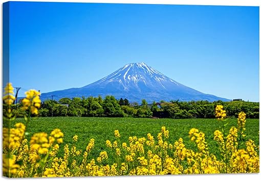 Amazon Co Jp 富士山 絵画 富士山の風景 自然 風景 おしゃれ 壁掛け 富士山の絶景 風景画 壁絵 美しい ポスター 新居祝い個性プレゼント 気分転換 窮屈改造 アートパネル 装飾画 モダン 玄関に飾る モダン キャンバス絵画 部屋飾り 木枠付きの完成品 ホーム キッチン Amazon Co Jp 富士山 絵画 富士山の風景 自然 風景 おしゃれ 壁掛け 富士山の絶景 風景画 壁絵 美しい ポスター 新居祝い個性プレゼント 気分転換 窮屈改造 アートパネル 装飾画 モダン 玄関に飾る モダン キャンバス絵画 部屋飾り 木枠付きの完成品 ホーム キッチン