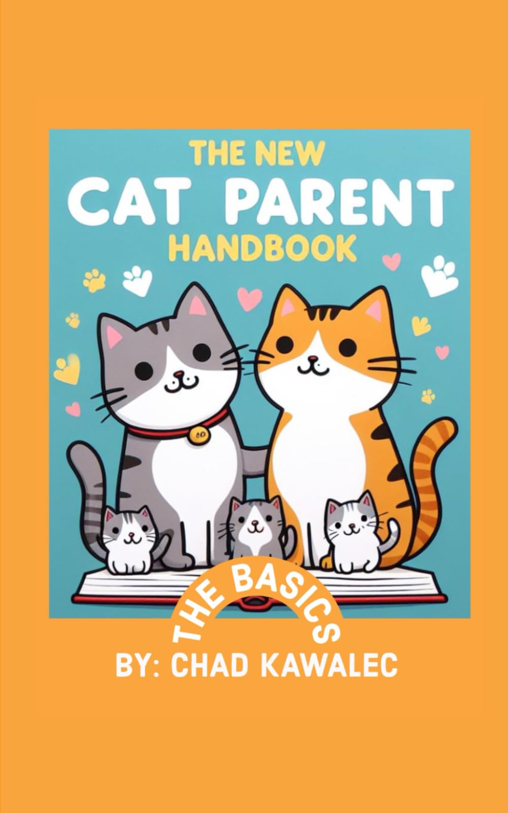 The New Cat Parent Handbook: The Basics | Everything I Wish I Knew Before My Cat Adopted Me