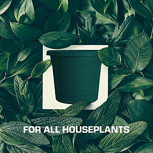 Rugg Round Rolled Rim Planter, UV Resistant Polyresin Pot, 6\" (Forest Green) - Thumbnail 5