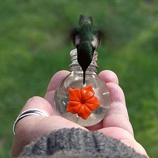 Alimentador de beija-flor com portas de flores Torcarvh alimentador de beija-flor portátil para pendurar ao ar livre com design de reservatório transparente alimentador de pássaros de flores para ambientes externos e natureza