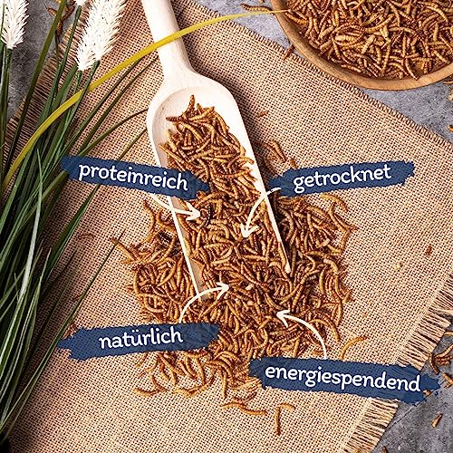Lyra Pet® | 5 kg Mehlwürmer getrocknet | Proteinreiches Vogelfutter | Für Wildvögel, Nager, Reptilien & Fische | Nahrhaftes Futter | Energiespender für Insektenfresser | Vitamine & Mineralstoffe