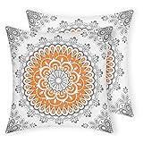 Miomao Set of 2 Cozy Square Throw Pillow Cover Cushion Case Dahlia Floral Medallion Mandala Style...