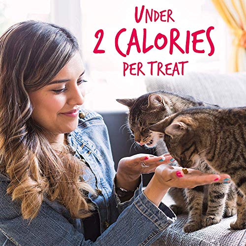 Fruitables Salmon and Cranberry Crunchy Cat Treats Healthy Cat Treats with Limited Ingredients Low Calorie 2.5 Ounces (1030608)