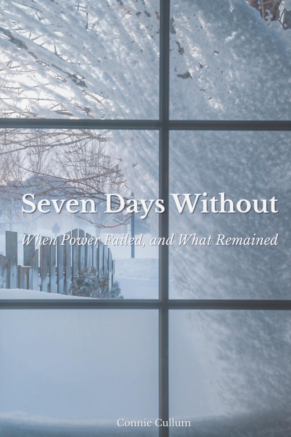 Seven Days Without: When Power Failed and What Remained