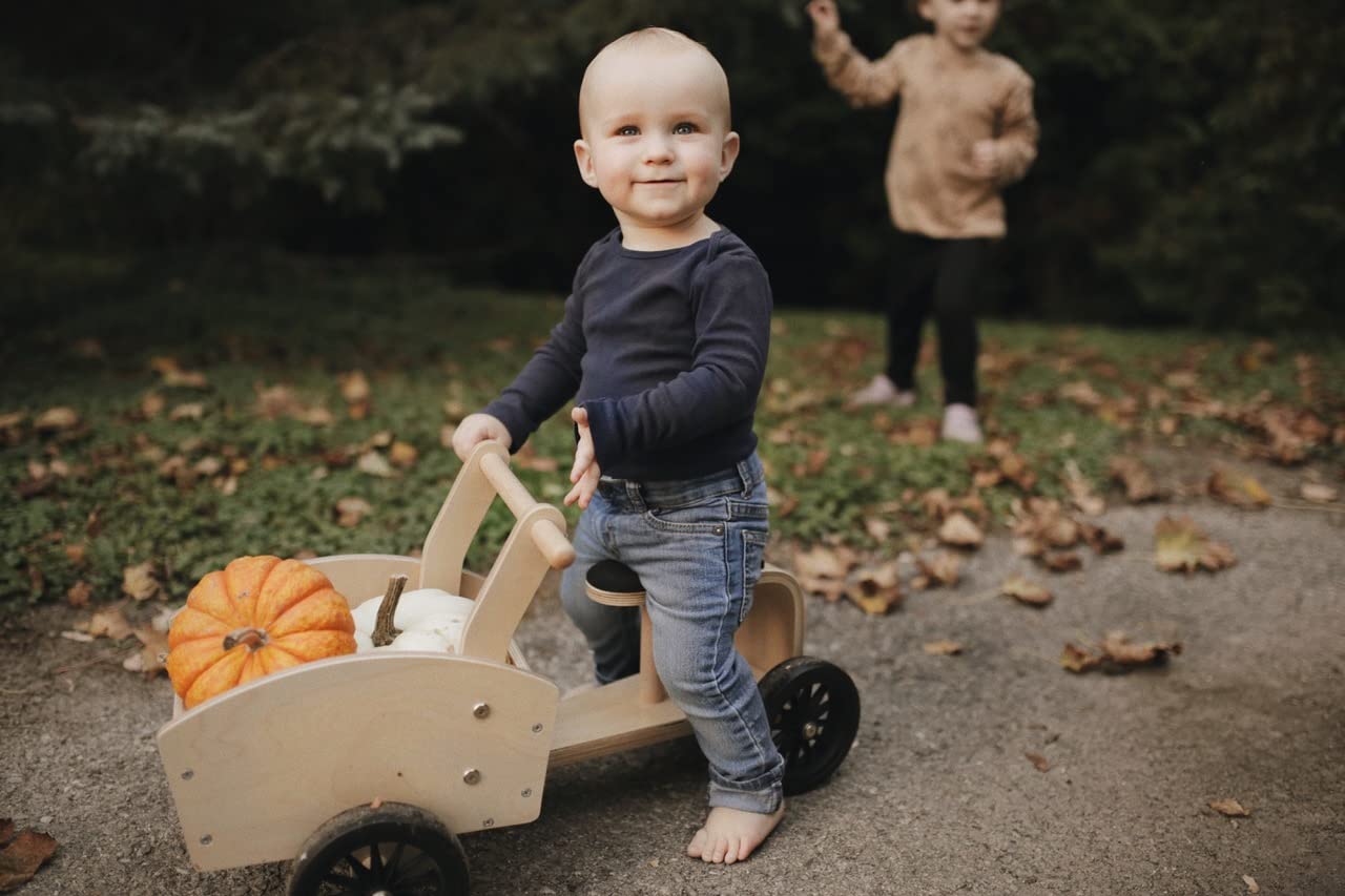 Amazon.co.jp: Kinderfeets カーゴバイク 子供用 木製 4輪 プッシュ