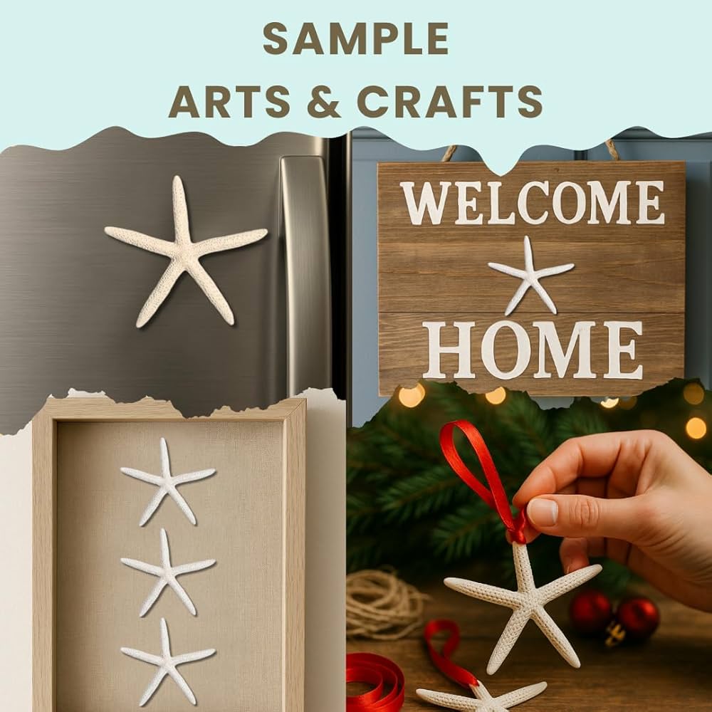 Amazon.co.jp: ヒトデ| 10ホワイト指ヒトデ2 